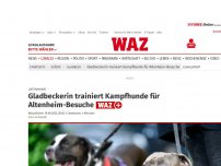 Bild zum Artikel: Listenhunde: Gladbeckerin trainiert Kampfhunde für Altenheim-Besuche