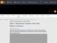 Bild zum Artikel: Merz: Migranten lassen sich die Zähne machen