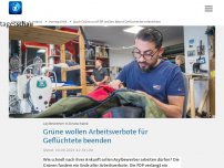 Bild zum Artikel: Auch Grüne und FDP wollen Arbeit Geflüchteter erleichtern