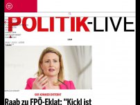 Bild zum Artikel: Raab zu FPÖ-Eklat: ''Kickl ist eine Gefahr für Österreich''