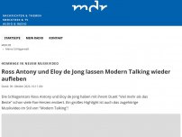 Bild zum Artikel: Ross Antony und Eloy de Jong lassen Modern Talking wieder aufleben