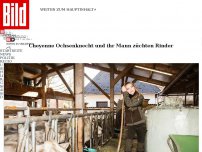 Bild zum Artikel: Ochsenknecht züchtet Rinder - Veganer haben keinen Respekt vor mir!
