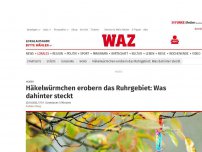 Bild zum Artikel: Hobby: Häkelwürmchen erobern das Ruhrgebiet: Was dahinter steckt