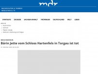 Bild zum Artikel: Bärin Jette vom Schloss Hartenfels in Torgau ist tot