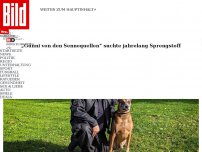 Bild zum Artikel: Günni suchte lange Sprengstoff - Polizeihund kriegt jetzt 50 Euro Rente im Monat