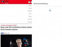 Bild zum Artikel: „Ich belle mittlerweile im Schlaf!“  - Razy und Phil enthüllen intime Geheimnisse ihres Hunde-Lebens