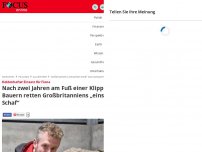 Bild zum Artikel: Heldenhafter Einsatz für Fiona - Nach zwei Jahren am Fuß einer Klippe - Bauern retten Großbritanniens „einsamstes Schaf“