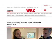Bild zum Artikel: Blaulicht: „Nass und traurig“: Polizei rettet Sittiche in Herner Park