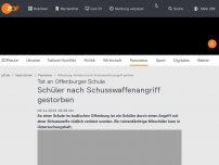 Bild zum Artikel: Mitschüler mit Schusswaffe verletzt?