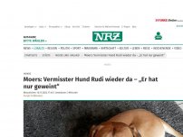 Bild zum Artikel: Hunde: Moers: Ridgeback-Kangal Rudi ist weg – Besitzer verzweifelt