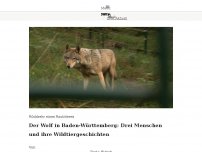 Bild zum Artikel: Der Wolf in Baden-Württemberg: Drei Menschen und ihre Wildtiergeschichten