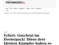 Bild zum Artikel: Erfurt: Geschrei im Dreierpack! Diese drei kleinen Kämpfer haben es geschafft