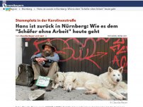 Bild zum Artikel: Hans ist zurück in Nürnberg: Wie es dem 'Schäfer ohne Arbeit' heute geht