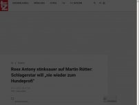 Bild zum Artikel: Ross Antony stinksauer auf Martin Rütter: Schlagerstar will „nie wieder zum Hundeprofi“