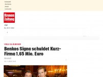 Bild zum Artikel: Benkos Signa schuldet Kurz-Firma 1,65 Mio. Euro