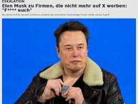 Bild zum Artikel: Elon Musk zu Firmen, die nicht mehr auf X werben: 'F**** euch'