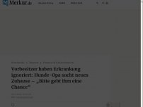 Bild zum Artikel: Vorbesitzer haben Erkrankung ignoriert: Hunde-Opa sucht neues Zuhause – „Bitte gebt ihm eine Chance“