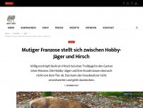 Bild zum Artikel: Mutiger Franzose stellt sich zwischen Hobby-Jäger und Hirsch