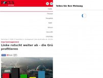 Bild zum Artikel: Insa-Sonntagstrend - Linke rutscht weiter ab - und die Gewinner sind die Grünen