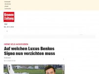 Bild zum Artikel: Auf welchen Luxus Benkos Signa nun verzichten muss