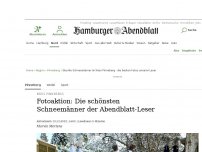 Bild zum Artikel: Winterspaß: Skurrilster Schneemann in Pinneberg – wer steckt dahinter?