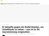 Bild zum Artikel: Er kämpfte gegen ein Rudel Kojoten, um Schafherde zu retten – nun ist er für Auszeichnung vorgesehen