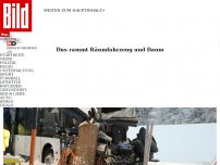 Bild zum Artikel: Tragischer Crash in Sachsen - Bus kracht gegen Baum – Schulkind tot!