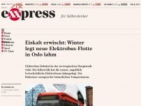 Bild zum Artikel: Eiskalt erwischt: Winter legt neue Elektrobus-Flotte in Oslo lahm