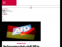 Bild zum Artikel: Verfassungsschutz stuft AfD in Sachsen als gesichert rechtsextremistisch ein