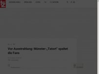 Bild zum Artikel: Vor Ausstrahlung: Münster-„Tatort“ spaltet die Fans