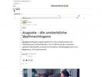 Bild zum Artikel: Auguste - die unsterbliche Weihnachtsgans