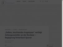 Bild zum Artikel: „Gelbes, leuchtendes Augenpaar“ verfolgt Zeitungszusteller an der Nordsee: „Habe nur noch Gas gegeben“