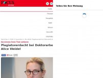 Bild zum Artikel: Sie könnte ihren Doktortitel verlieren - Plagiatsverdacht gegen Doktorarbeit von Alice Weidel