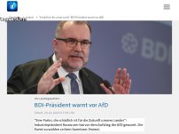 Bild zum Artikel: 'Schädlich für unser Land': BDI-Präsident warnt vor AfD