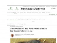 Bild zum Artikel: Wildpark Harburg: Süßer Otternachwuchs im Tierpark: Schlagen Sie Namen vor!
