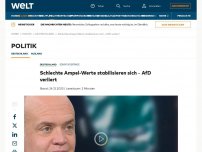 Bild zum Artikel: Schlechte Ampel-Werte stabilisieren sich – die AfD verliert