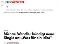 Bild zum Artikel: Michael Wendler kündigt neue Single an: „Was für ein Idiot“