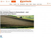 Bild zum Artikel: Die reichsten Bauern in Deutschland – sind überhaupt keine Bauern #direktzahlung #einkommen