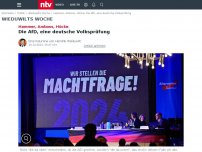 Bild zum Artikel: Hammer, Amboss, Höcke: Die AfD, eine deutsche Volksprüfung