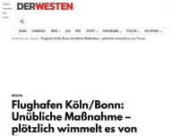 Bild zum Artikel: Flughafen Köln/Bonn: Unübliche Maßnahme – plötzlich wimmelt es von Tieren