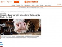 Bild zum Artikel: Silvester-Feuerwerk ist körperlicher Schmerz für Rinder im Stall #landwirtschaft #rinderhaltung