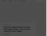 Bild zum Artikel: Rund 1000 Vögel krachen in nur einer Nacht gegen Fenster – „Es war wie ein Teppich aus toten Vögeln“