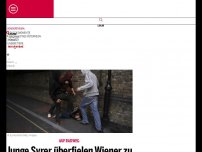 Bild zum Artikel: Junge Syrer überfielen Wiener zu Silvester