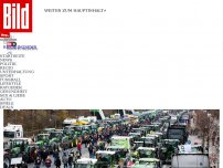 Bild zum Artikel: Zehntausende Trecker sollen Land lahmlegen - Bauern pfeifen auf Ampel-Rückzieher