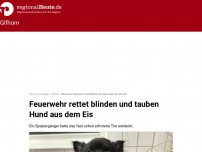 Bild zum Artikel: Feuerwehr rettet blinden und tauben Hund aus dem Eis