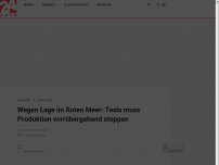 Bild zum Artikel: Wegen Lage im Roten Meer: Tesla muss Produktion vorrübergehend stoppen