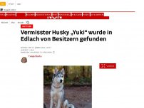 Bild zum Artikel: Happy End - Vermisster Husky „Yuki“ wurde in Edlach von Besitzern gefunden