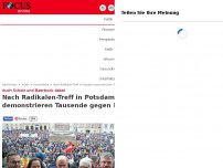 Bild zum Artikel: Auch Scholz und Baerbock dabei - Nach Radikalen-Treff in Potsdam demonstrieren Tausende gegen Rechts