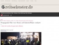 Bild zum Artikel: Propaganda-Mär vom Sturm auf Habeck-Fähre entlarvt…