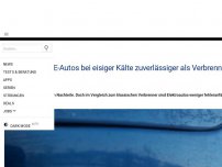 Bild zum Artikel: Pannendienst: E-Autos bei eisiger Kälte zuverlässiger als Verbrenner